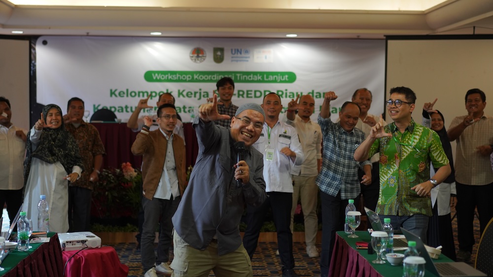 Workshop Koordinasi Tindak Lanjut Kelompok Kerja SISREDD+ Riau dan Kepatuhan Data Safeguards